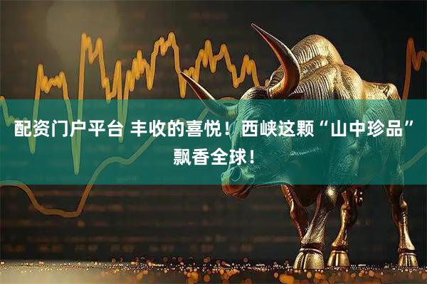 配资门户平台 丰收的喜悦！西峡这颗“山中珍品”飘香全球！